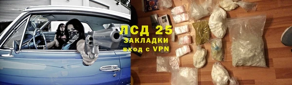 стафф Алагир