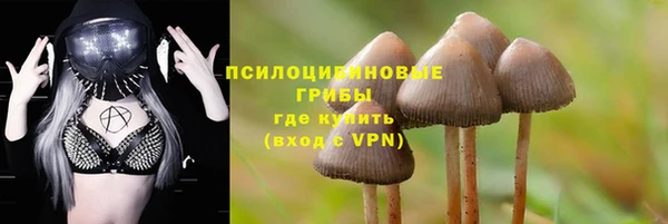шишки Новодвинск