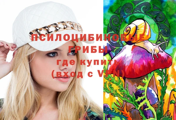 индика Абдулино