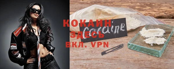шишки Новодвинск